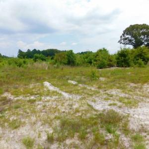 Photo of SOLD!  10.72 Acres of Recreational and Residential Property For Sale In Wayne County NC!