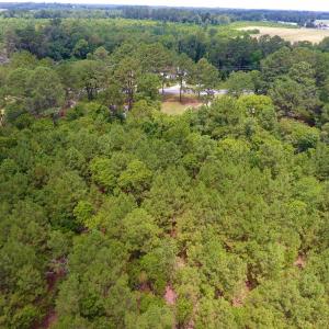 Photo of UNDER CONTRACT!  8.56 Acres of Residential and Recreational Land For Sale In Wayne County NC!