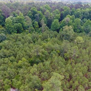 Photo of UNDER CONTRACT!  8.56 Acres of Residential and Recreational Land For Sale In Wayne County NC!