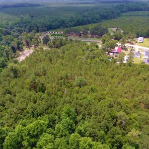 Photo of UNDER CONTRACT!  8.56 Acres of Residential and Recreational Land For Sale In Wayne County NC!