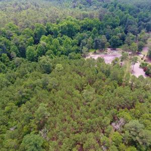 Photo of UNDER CONTRACT!  8.56 Acres of Residential and Recreational Land For Sale In Wayne County NC!