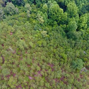 Photo of UNDER CONTRACT!  8.56 Acres of Residential and Recreational Land For Sale In Wayne County NC!