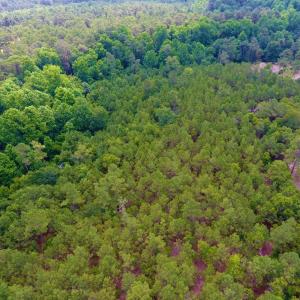 Photo of UNDER CONTRACT!  8.56 Acres of Residential and Recreational Land For Sale In Wayne County NC!