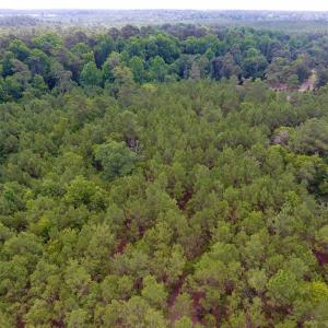 Photo of UNDER CONTRACT!  8.56 Acres of Residential and Recreational Land For Sale In Wayne County NC!