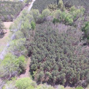 Photo of SOLD!  6 Acres of Residential Land For Sale in Suffolk VA!