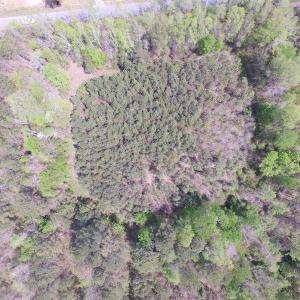 Photo of SOLD!  6 Acres of Residential Land For Sale in Suffolk VA!