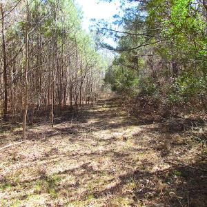 Photo of SOLD!  6 Acres of Residential Land For Sale in Suffolk VA!