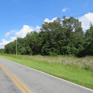 Photo of UNDER CONTRACT!  101 Acres of Timber Land For Sale in Sampson County NC!