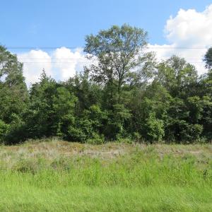 Photo of UNDER CONTRACT!  101 Acres of Timber Land For Sale in Sampson County NC!