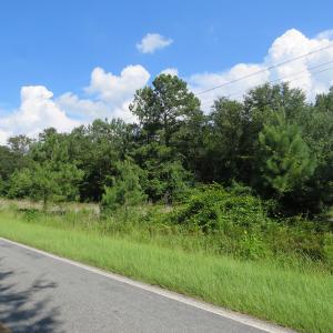 Photo of UNDER CONTRACT!  101 Acres of Timber Land For Sale in Sampson County NC!