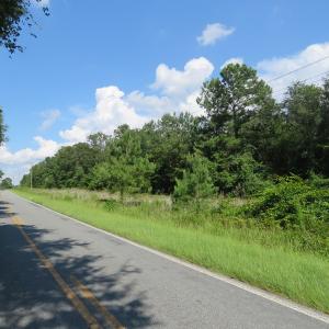 Photo of UNDER CONTRACT!  101 Acres of Timber Land For Sale in Sampson County NC!