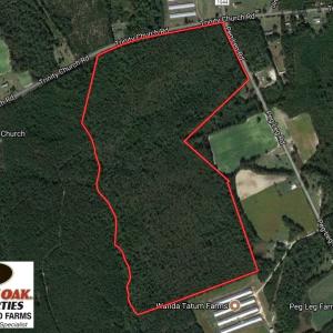 Photo of UNDER CONTRACT!  101 Acres of Timber Land For Sale in Sampson County NC!