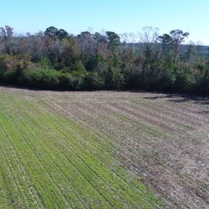 Photo of UNDER CONTRACT!  23 Acres of Farm and Timber Land For Sale in Sampson County NC!