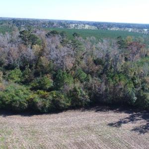 Photo of UNDER CONTRACT!  23 Acres of Farm and Timber Land For Sale in Sampson County NC!