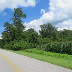 Photo of UNDER CONTRACT!  23 Acres of Farm and Timber Land For Sale in Sampson County NC!