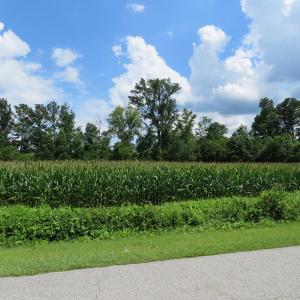 Photo of UNDER CONTRACT!  23 Acres of Farm and Timber Land For Sale in Sampson County NC!