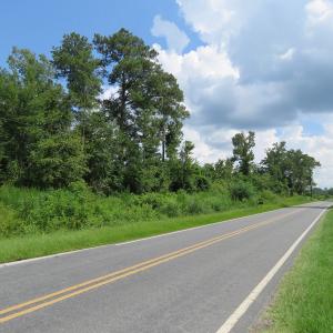 Photo of UNDER CONTRACT!  23 Acres of Farm and Timber Land For Sale in Sampson County NC!