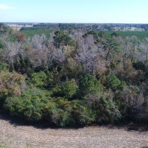 Photo of UNDER CONTRACT!  23 Acres of Farm and Timber Land For Sale in Sampson County NC!