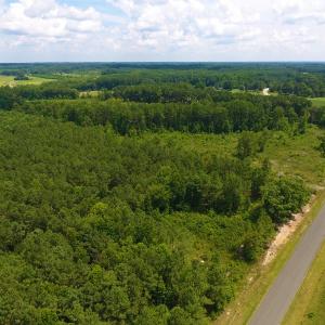 Photo of SOLD!  30 Acres of Hunting and Timber Land For Sale in Warren County NC!