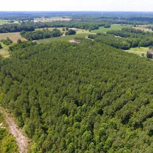 Photo of SOLD!  30 Acres of Hunting and Timber Land For Sale in Warren County NC!