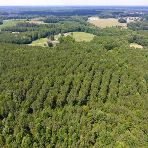 Photo of SOLD!  30 Acres of Hunting and Timber Land For Sale in Warren County NC!