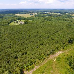 Photo of SOLD!  30 Acres of Hunting and Timber Land For Sale in Warren County NC!