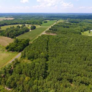 Photo of SOLD!  30 Acres of Hunting and Timber Land For Sale in Warren County NC!