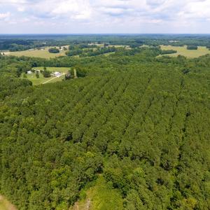 Photo of SOLD!  30 Acres of Hunting and Timber Land For Sale in Warren County NC!