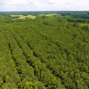 Photo of SOLD!  30 Acres of Hunting and Timber Land For Sale in Warren County NC!