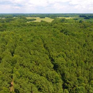 Photo of SOLD!  30 Acres of Hunting and Timber Land For Sale in Warren County NC!