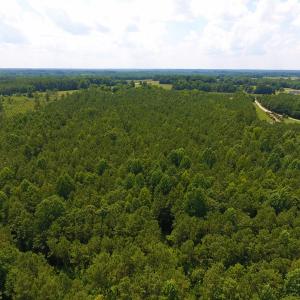 Photo of SOLD!  30 Acres of Hunting and Timber Land For Sale in Warren County NC!