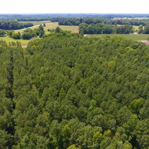Photo of SOLD!  30 Acres of Hunting and Timber Land For Sale in Warren County NC!