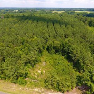 Photo of SOLD!  30 Acres of Hunting and Timber Land For Sale in Warren County NC!