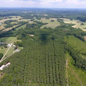 Photo of SOLD!  30 Acres of Hunting and Timber Land For Sale in Warren County NC!
