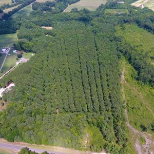 Photo of SOLD!  30 Acres of Hunting and Timber Land For Sale in Warren County NC!
