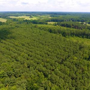 Photo of SOLD!  30 Acres of Hunting and Timber Land For Sale in Warren County NC!