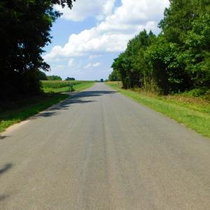 Photo of SOLD!  30 Acres of Hunting and Timber Land For Sale in Warren County NC!