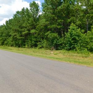 Photo of SOLD!  30 Acres of Hunting and Timber Land For Sale in Warren County NC!