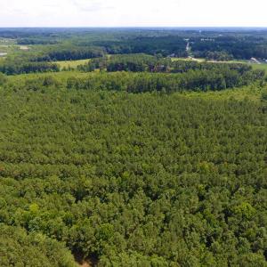 Photo of SOLD!  30 Acres of Hunting and Timber Land For Sale in Warren County NC!