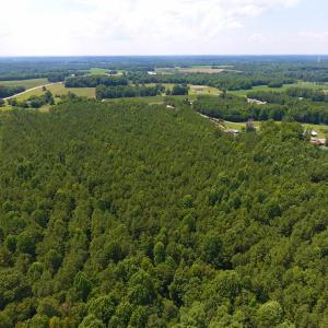Photo of SOLD!  30 Acres of Hunting and Timber Land For Sale in Warren County NC!