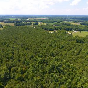 Photo of SOLD!  30 Acres of Hunting and Timber Land For Sale in Warren County NC!