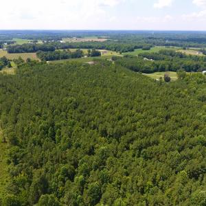 Photo of SOLD!  30 Acres of Hunting and Timber Land For Sale in Warren County NC!