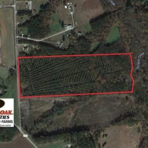 Photo of SOLD!  30 Acres of Hunting and Timber Land For Sale in Warren County NC!