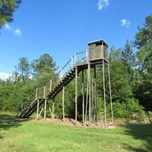 Photo of UNDER CONTRACT!  28 Acres of Hunting Land For Sale in Pender County NC!