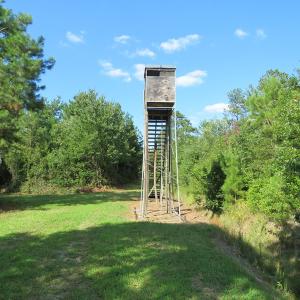 Photo of UNDER CONTRACT!  28 Acres of Hunting Land For Sale in Pender County NC!