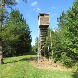 Photo of UNDER CONTRACT!  28 Acres of Hunting Land For Sale in Pender County NC!
