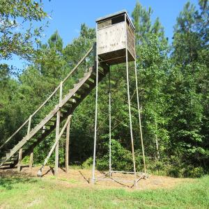 Photo of UNDER CONTRACT!  28 Acres of Hunting Land For Sale in Pender County NC!