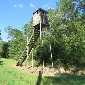 Photo of UNDER CONTRACT!  28 Acres of Hunting Land For Sale in Pender County NC!