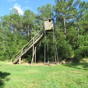Photo of UNDER CONTRACT!  28 Acres of Hunting Land For Sale in Pender County NC!