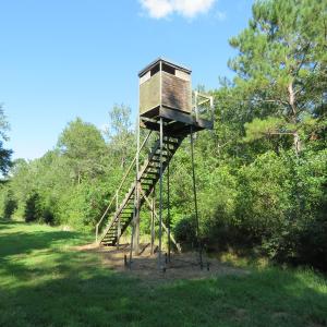 Photo of UNDER CONTRACT!  28 Acres of Hunting Land For Sale in Pender County NC!
